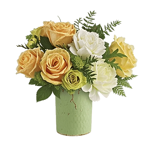 Ivory Blossom Radiance