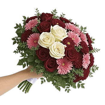 Blushing Rose Symphony