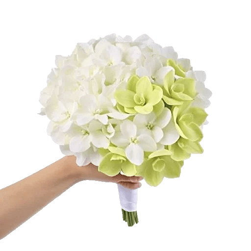 Minimalist White Orchids