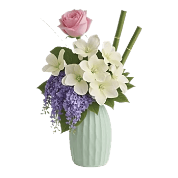 Ivory Blossom Radiance