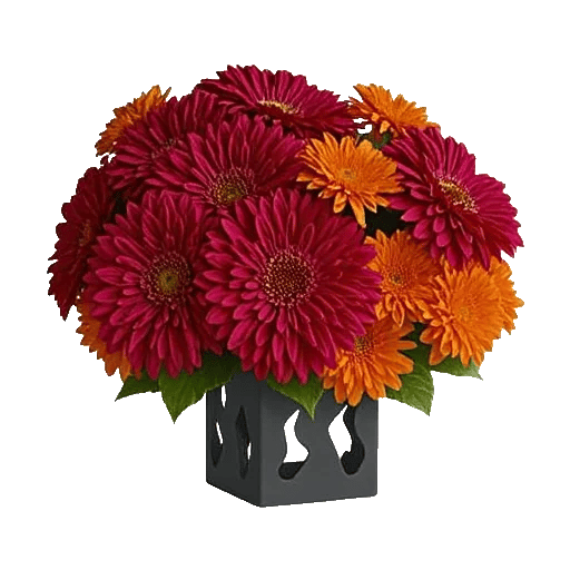 Crimson Blossom Harmony