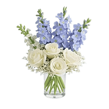 Blossom Petal Serenity