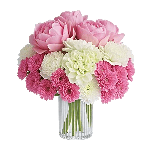 Petal Radiance Bliss