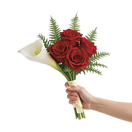 Elegant Calla Lilies