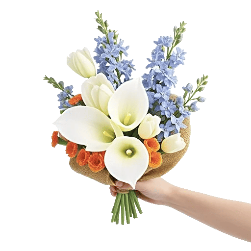 Elegant Calla Lilies