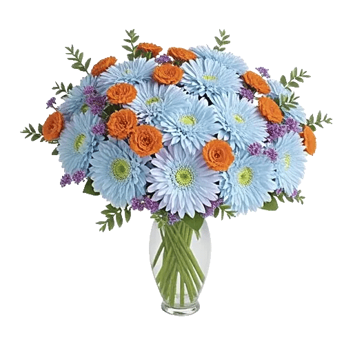 Elegant Blue Roses