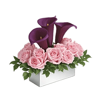 Elegant Calla Lilies