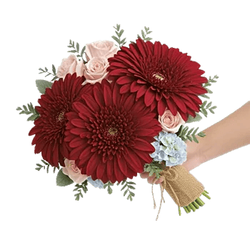 Crimson Blossom Harmony