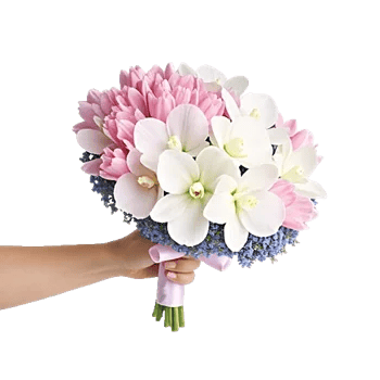 Petal Grace Harmony