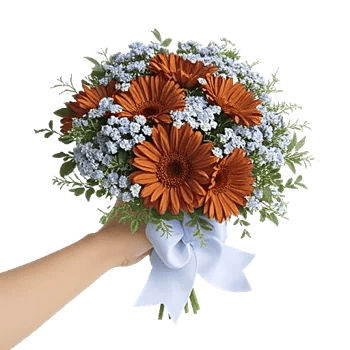 Serene Petal Harmony