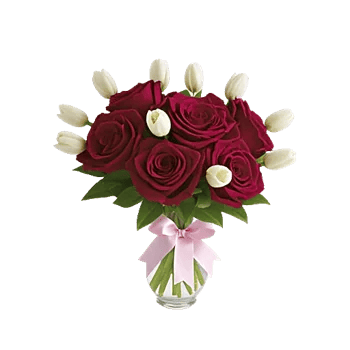 Radiant Rose Symphony