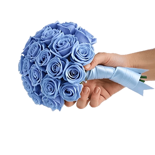 Elegant Blue Roses