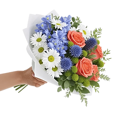 Blossom Petal Serenity