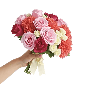 Blushing Rose Symphony