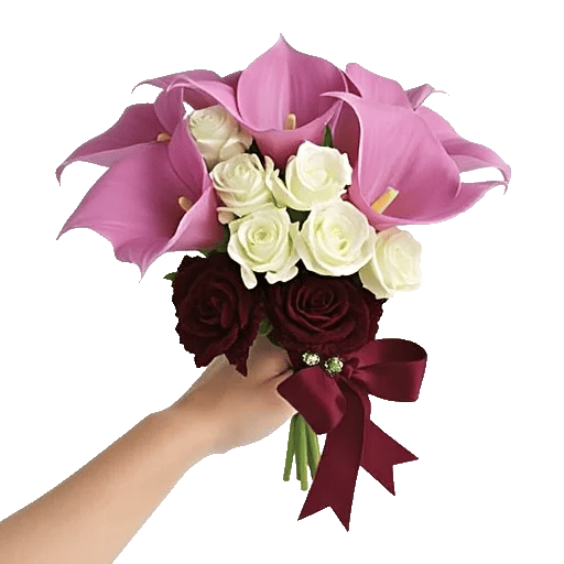 Elegant Calla Lilies