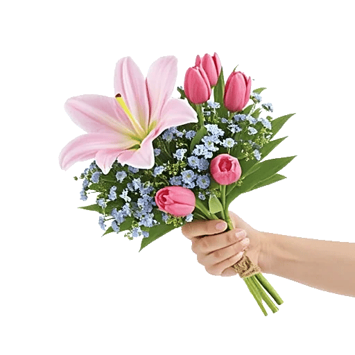 Blossom Petal Serenity