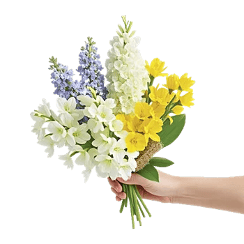 Blossom Harmony Display