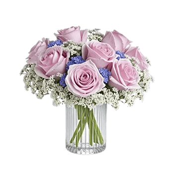 Lavender Bloom Grace