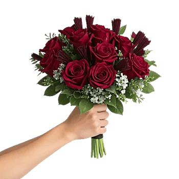 Crimson Rose Elegance