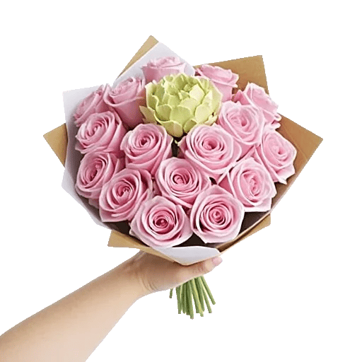Pastel Pink Roses