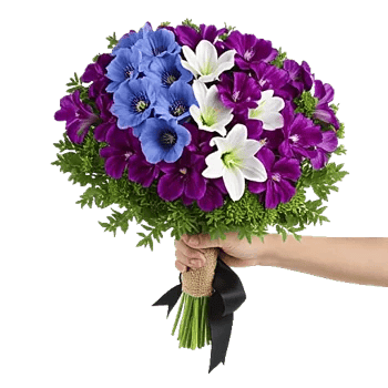 Serenity Orchid Bloom