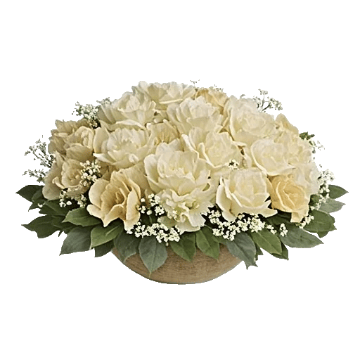 Serene Petal Harmony