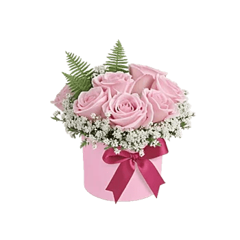 Blossom Radiant Whisper