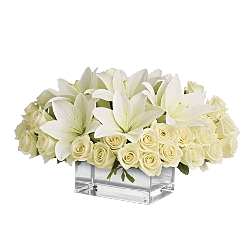 Graceful Lily Display