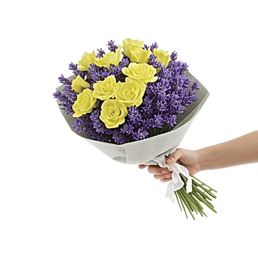 Rosemary Bloom Elegance