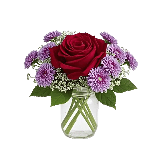 Crimson Rose Elegance