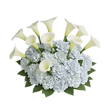 Elegant Calla Lilies
