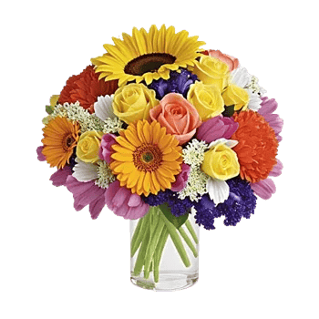 Radiant Bloom Cascade