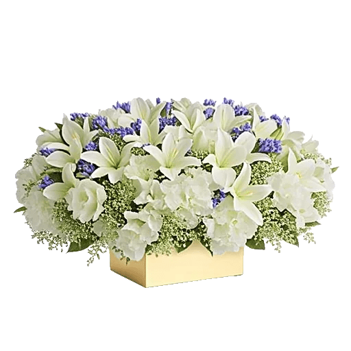 Blooming Serenity Display