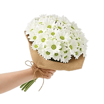 Petal Harmony Bliss
