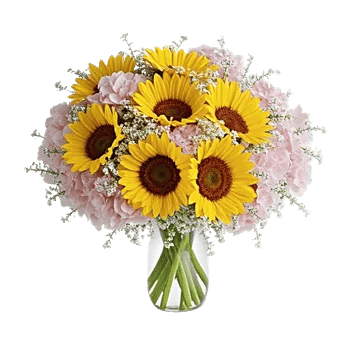 Radiant Bloom Cascade