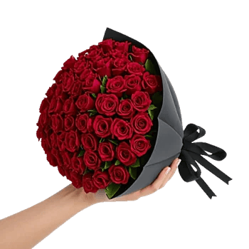 Crimson Rose Elegance