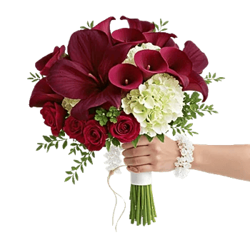 Elegant Calla Lilies