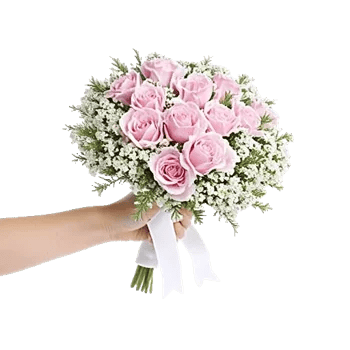 Blossom Petal Serenity