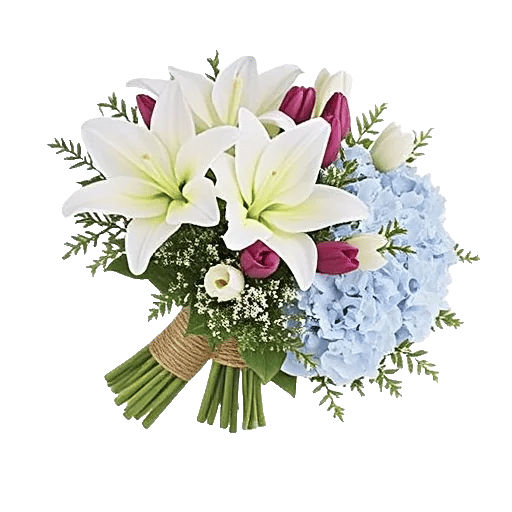 Ivory Blossom Radiance