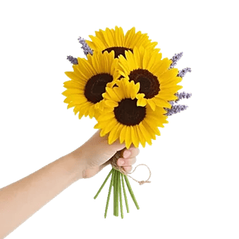 Twinkling Sunflower Dance