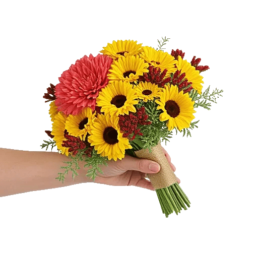 Coral Blossom Harmony