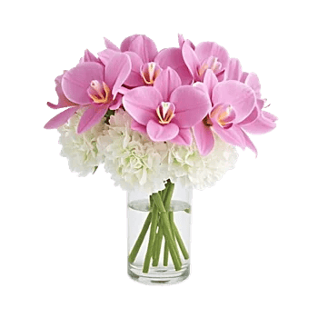 Orchid Bloom Cascade