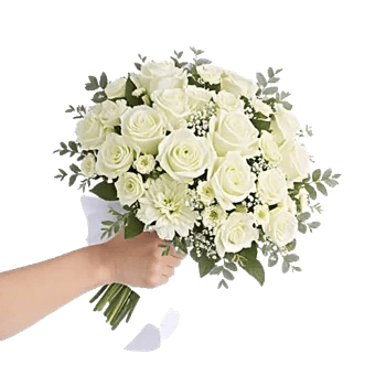 Delicate Petal Cascade