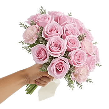 Pastel Pink Roses