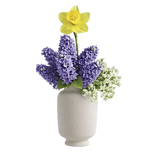 Ivory Blossom Radiance