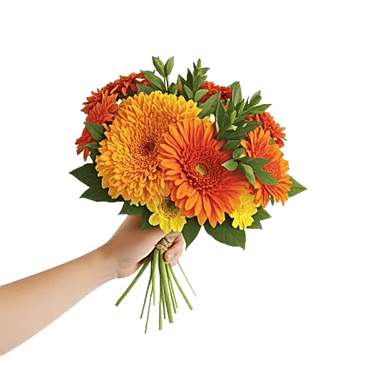 Petal Radiance Bliss