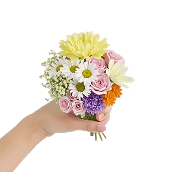 Petal Harmony Bliss