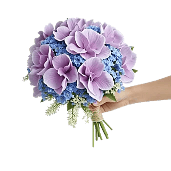 Serene Petal Harmony