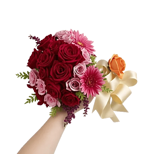 Blushing Rose Symphony