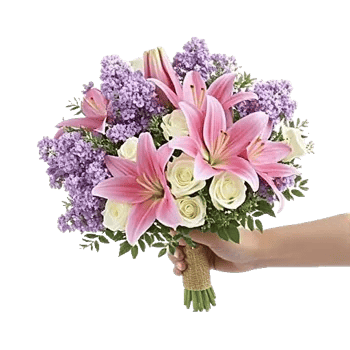 Blushing Rose Symphony